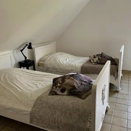 Grutsk Holiday home *